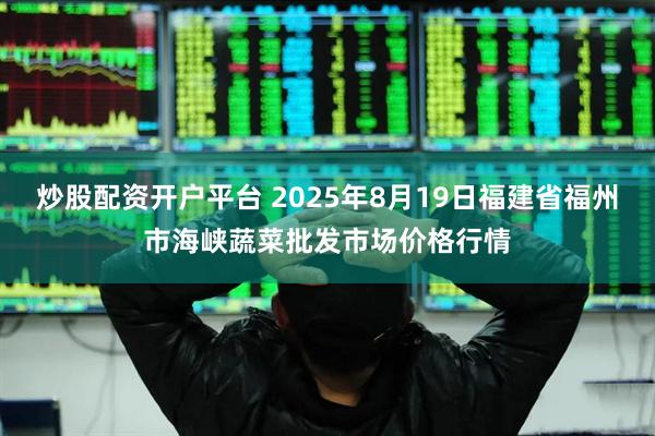 炒股配资开户平台 2025年8月19日福建省福州市海峡蔬菜批发市场价格行情