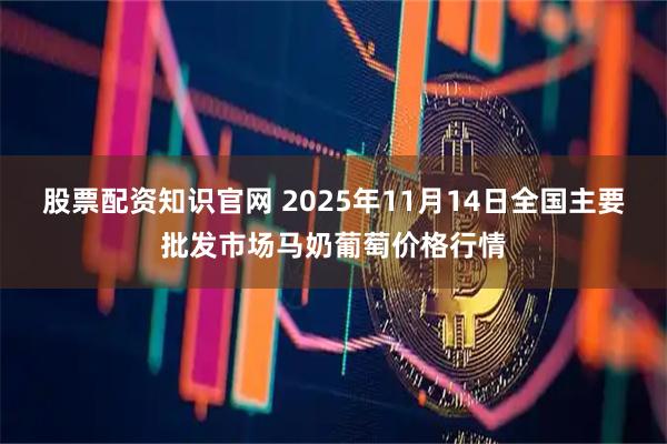 股票配资知识官网 2025年11月14日全国主要批发市场马奶葡萄价格行情